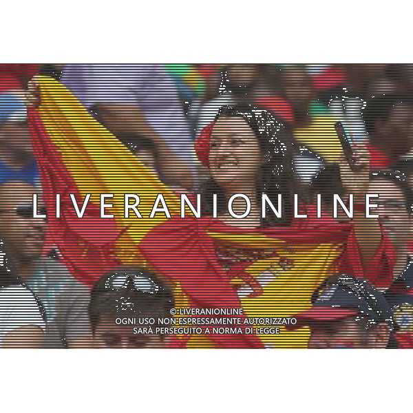 (140618) -- RIO DE JANEIRO, June 18, 2014 () -- A Spain\'s fan cheers before a Group B match between Spain and Chile of 2014 FIFA World Cup at the Estadio do Maracana Stadium in Rio de Janeiro, Brazil, June 18, 2014. Chile won 2-0 over Spain on Wednesday.(/Xu Zijian)(pcy) ©photoshot/Agenzia Aldo Liverani sas - ITALY ONLY - EDITORIAL USE ONLY