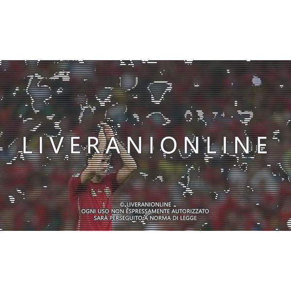 (140618) -- RIO DE JANEIRO, June 18, 2014 () -- Spain\'s Javi Martinez applaud the audience after a Group B match between Spain and Chile of 2014 FIFA World Cup at the Estadio do Maracana Stadium in Rio de Janeiro, Brazil, June 18, 2014. Chile won 2-0 over Spain on Wednesday.(/Xu Zijian)(pcy) ©photoshot/Agenzia Aldo Liverani sas - ITALY ONLY - EDITORIAL USE ONLY