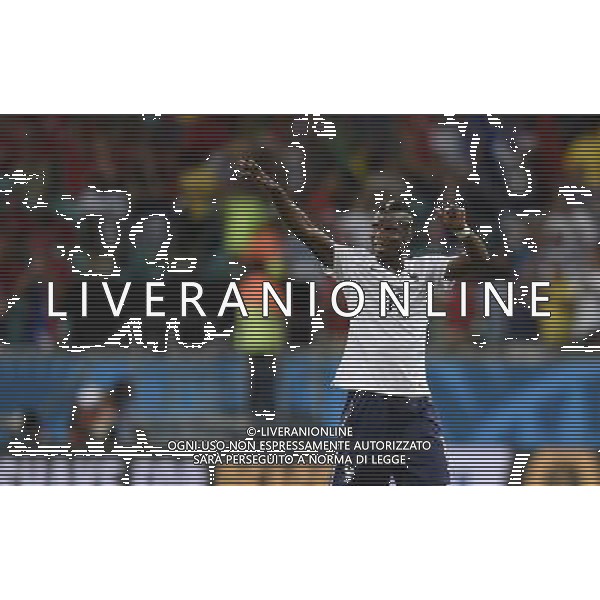 (140620) -- SALVADOR, June 20, 2014 () -- France\'s Paul Pogba celebrates the victory after a Group E match between Switzerland and France of 2014 FIFA World Cup at the Arena Fonte Nova Stadium in Salvador, Brazil, on June 20, 2014. France won 5-2 over Switzerland on Friday.(/Yang Lei)(rh) AG ALDO LIVERANI SAS ONLY ITALY