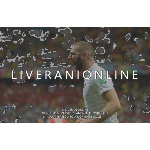 (140620) -- SALVADOR, June 20, 2014 () -- France\'s Karim Benzema celebrates the forth score during a Group E match between Switzerland and France of 2014 FIFA World Cup at the Arena Fonte Nova Stadium in Salvador, Brazil, on June 20, 2014.(/Yang Lei)(rh) AG ALDO LIVERANI SAS ONLY ITALY
