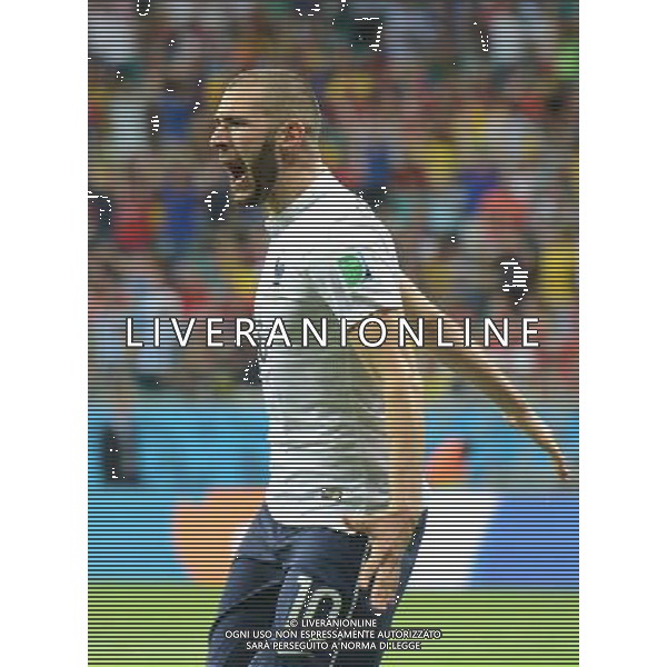(140620) -- SALVADOR, June 20, 2014 () -- France\'s Karim Benzema celebrates the forth score during a Group E match between Switzerland and France of 2014 FIFA World Cup at the Arena Fonte Nova Stadium in Salvador, Brazil, on June 20, 2014.(/Yang Lei)(rh) AG ALDO LIVERANI SAS ONLY ITALY