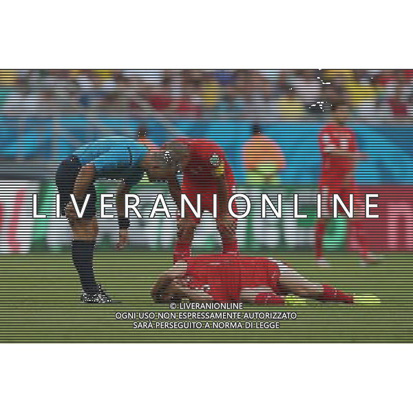 (140620) -- SALVADOR, June 20, 2014 () -- Switzerland\'s Steve von Bergen (bottom) lies down as he gets injured during a Group E match between Switzerland and France of 2014 FIFA World Cup at the Arena Fonte Nova Stadium in Salvador, Brazil, on June 20, 2014.(/Cao Can)(pcy) AG ALDO LIVERANI SAS ONLY ITALY