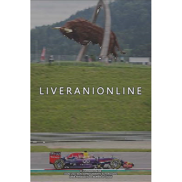 Sebastian Vettel, (GER, Infiniti Red Bull Racing) // during the Training of the Austrian Formula One Grand Prix at the Red Bull Ring in Spielberg, Austria, 2014/06/20, EXPA Pictures © 2014, PhotoCredit: EXPA/ Mario Kuhnke AG ALDO LIVERANI SAS ONLY ITALY