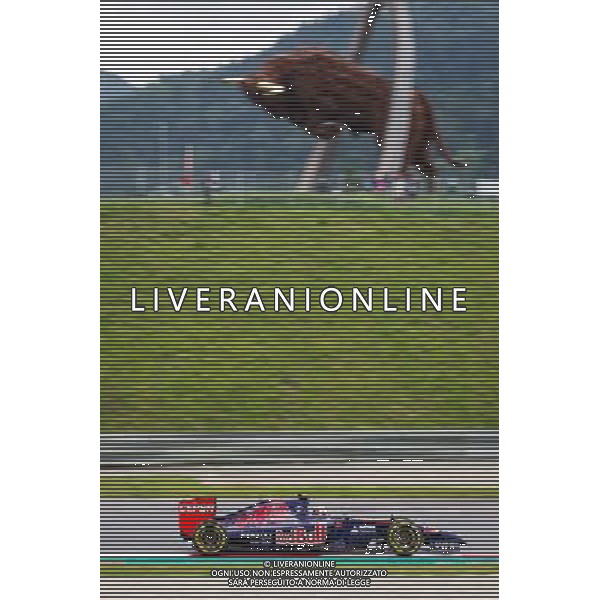 Daniil Kwat, (RUS, Scuderia Toro Rosso) // during the Training of the Austrian Formula One Grand Prix at the Red Bull Ring in Spielberg, Austria, 2014/06/20, EXPA Pictures © 2014, PhotoCredit: EXPA/ Mario Kuhnke AG ALDO LIVERANI SAS ONLY ITALY