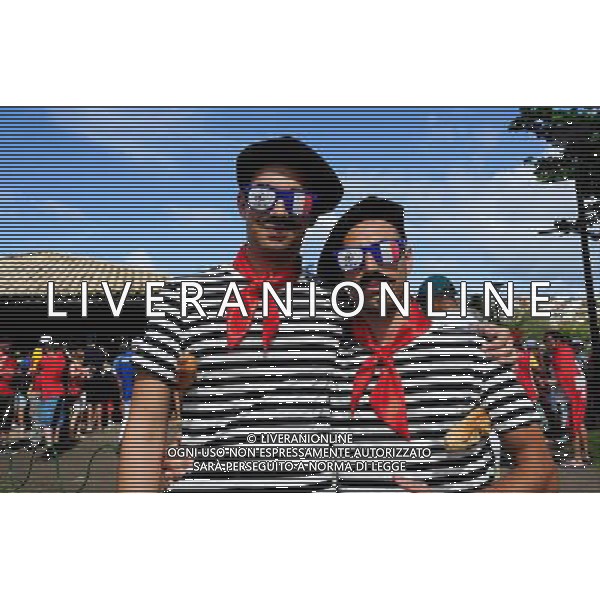 Supporters France - 20.06.2014 - France / Suisse - Coupe du Monde 2014 - Photo : Dave Winter / Icon Sport /AGENZIA ALDO LIVERANI SAS - ITALY ONLY - Svizzera Vs Francia partita del Gruppo E Coppa del Mondo FIFA 2014 presso l\'Arena Stadio Fonte Nova di Salvador, in Brasile, il 20 giugno 2014