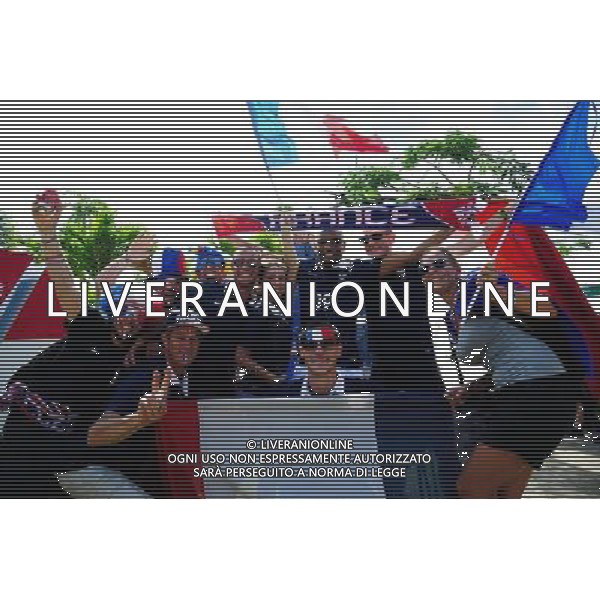 Supporters France - 20.06.2014 - France / Suisse - Coupe du Monde 2014 - Photo : Dave Winter / Icon Sport /AGENZIA ALDO LIVERANI SAS - ITALY ONLY - Svizzera Vs Francia partita del Gruppo E Coppa del Mondo FIFA 2014 presso l\'Arena Stadio Fonte Nova di Salvador, in Brasile, il 20 giugno 2014