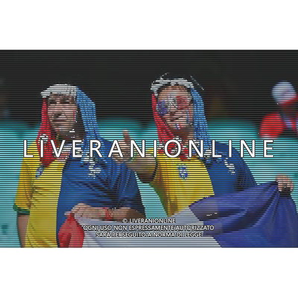 Supporters France - 20.06.2014 - Suisse / France - Coupe du Monde 2014 - Photo : Dave Winter / Icon Sport /AGENZIA ALDO LIVERANI SAS - ITALY ONLY - Svizzera Vs Francia partita del Gruppo E Coppa del Mondo FIFA 2014 presso l\'Arena Stadio Fonte Nova di Salvador, in Brasile, il 20 giugno 2014