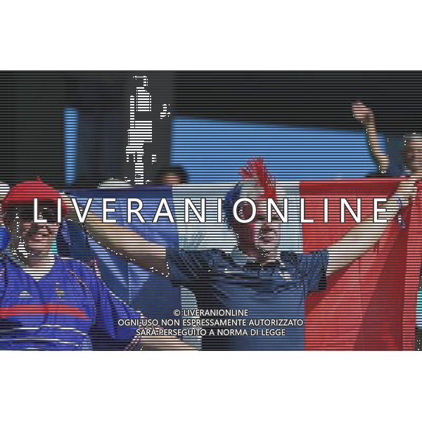 Supporters France - 20.06.2014 - Suisse / France - Coupe du Monde 2014 - Photo : Dave Winter / Icon Sport /AGENZIA ALDO LIVERANI SAS - ITALY ONLY - Svizzera Vs Francia partita del Gruppo E Coppa del Mondo FIFA 2014 presso l\'Arena Stadio Fonte Nova di Salvador, in Brasile, il 20 giugno 2014