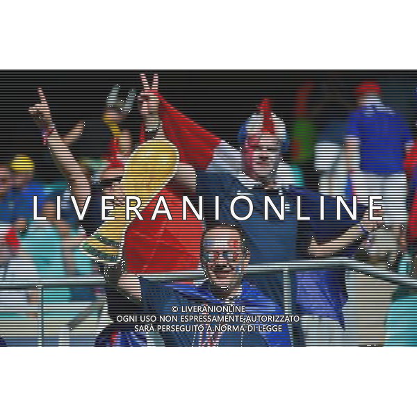 Supporters France - 20.06.2014 - Suisse / France - Coupe du Monde 2014 - Photo : Dave Winter / Icon Sport /AGENZIA ALDO LIVERANI SAS - ITALY ONLY - Svizzera Vs Francia partita del Gruppo E Coppa del Mondo FIFA 2014 presso l\'Arena Stadio Fonte Nova di Salvador, in Brasile, il 20 giugno 2014