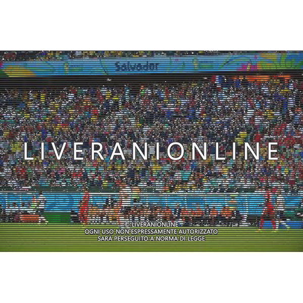 Supporters de France - 20.06.2014 - Suisse / France - Coupe du Monde 2014 - Photo : Dave Winter / Icon Sport /AGENZIA ALDO LIVERANI SAS - ITALY ONLY - Svizzera Vs Francia partita del Gruppo E Coppa del Mondo FIFA 2014 presso l\'Arena Stadio Fonte Nova di Salvador, in Brasile, il 20 giugno 2014