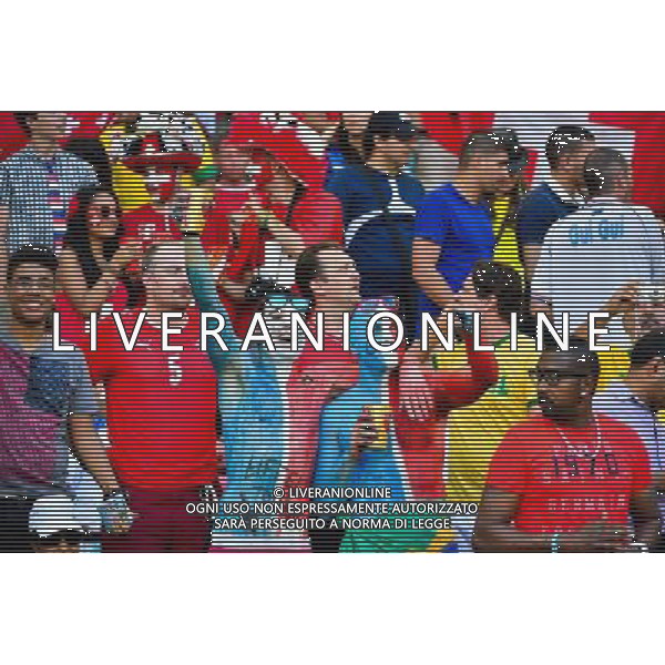 Supporters de France - 20.06.2014 - Suisse / France - Coupe du Monde 2014 - Photo : Dave Winter / Icon Sport /AGENZIA ALDO LIVERANI SAS - ITALY ONLY - Svizzera Vs Francia partita del Gruppo E Coppa del Mondo FIFA 2014 presso l\'Arena Stadio Fonte Nova di Salvador, in Brasile, il 20 giugno 2014