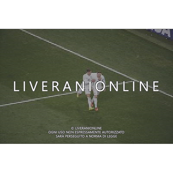 (140619) -- SAO PAULO, June 19, 2014 () -- England\'s Wayne Rooney (R) celebrates for his goal with Ross Barkely during a Group D match between Uruguay and England of 2014 FIFA World Cup at the Arena de Sao Paulo Stadium in Sao Paulo, Brazil, June 19, 2014.Uruguay won 2-1 over England on Thursday.(/Liao Yujie)(pcy) AG ALDO LIVERANI SAS ONLY ITALY