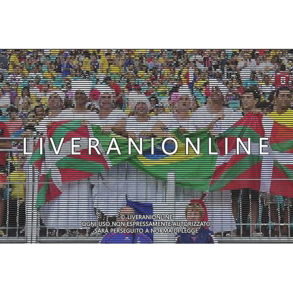 Supporters France - 20.06.2014 - Suisse / France - Coupe du Monde 2014 -Salvador Photo : Dave Winter / Icon Sport