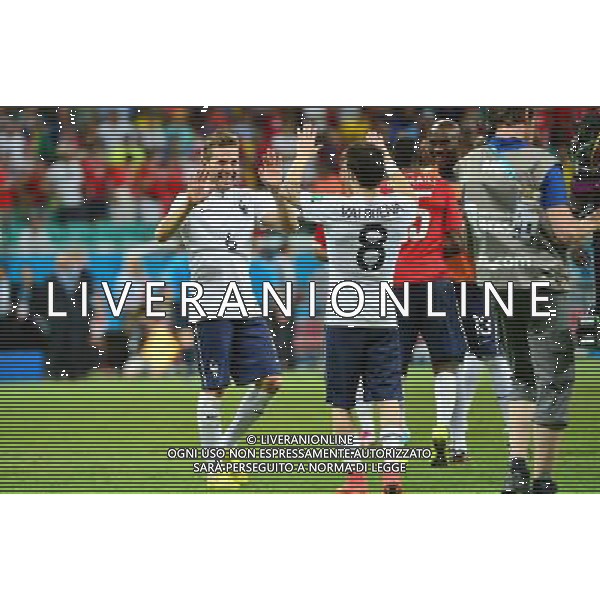 Joie Yohan CABAYE / Mathieu VALBUENA - 20.06.2014 - Suisse / France - Coupe du Monde 2014 -Salvador Photo : Dave Winter / Icon Sport