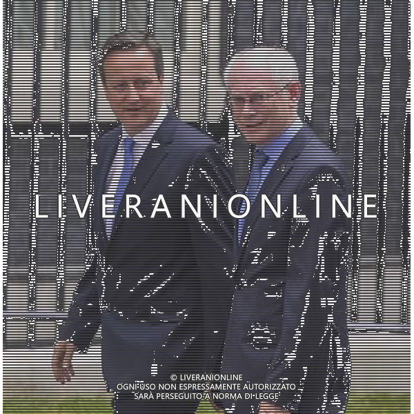 Prime Minister David Cameron meets Herman Van Rompuy President of the European Council at 10 Downing street ©PHOTOSHOT/Agenzia Aldo Liverani sas - ITALY ONLY - EDITORIAL USE ONLY - Il primo ministro David Cameron incontra Herman Van Rompuy presidente del Consiglio europeo a 10 Downing street a Londra