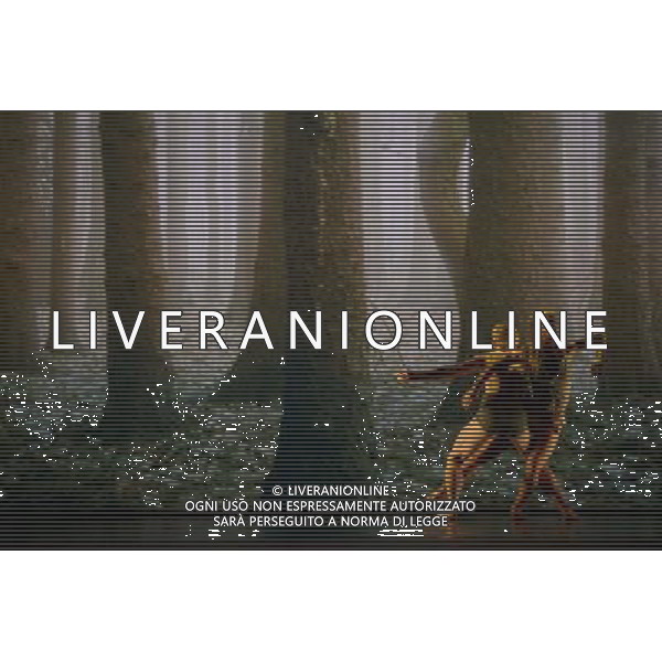 Eastman-Sidi Larbi Cherkaoui-4D. dancers: Matter - Guro Nagelhus Schia, Kazutomi \'Tzuki\' Kozuki. Pure- Guro Nagelhus Schia,Vebjorn Sundby. Sin-Nevala \'Niku\' Chaudhari, Damien Fournier. Faun-James O\'Hara, Olivia Ancona. ©PHOTOSHOT/Agenzia Aldo Liverani sas - ITALY ONLY - EDITORIAL USE ONLY