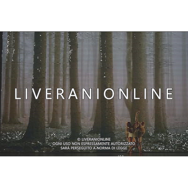 Eastman-Sidi Larbi Cherkaoui-4D. dancers: Matter - Guro Nagelhus Schia, Kazutomi \'Tzuki\' Kozuki. Pure- Guro Nagelhus Schia,Vebjorn Sundby. Sin-Nevala \'Niku\' Chaudhari, Damien Fournier. Faun-James O\'Hara, Olivia Ancona. ©PHOTOSHOT/Agenzia Aldo Liverani sas - ITALY ONLY - EDITORIAL USE ONLY