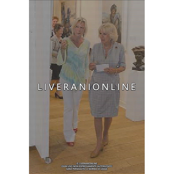 London, UK, 24/06/2014 : THE DUCHESS OF CORNWALL VISITS THE \'VOICES FROM THE DESERT\' EXHIBITION. The Duchess of Cornwall, Patron, Desert Rats Association, visits \'Voices from the Desert\', a Desert Rats exhibition by the artist Anna Redwood. . Picture by Julie Edwards ©PHOTOSHOT/Agenzia Aldo Liverani sas - ITALY ONLY - EDITORIAL USE ONLY - REALI INGLESI: Camilla duchessa di Cornovaglia in visita alla mostra \'Voci dal deserto\' dell\'artista Anna Redwood