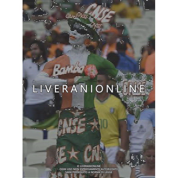 (140624) -- FORTALEZA, June 24, 2014 () -- Cote d\'Ivoire\'s fan poses prior to a Group C match between Greece and Cote d\'Ivoire of 2014 FIFA World Cup at the Estadio Castelao Stadium in Fortaleza, Brazil, June 24, 2014. (/Yang Lei)(xzj) AG ALDO LIVERANI SAS ONLY ITALY