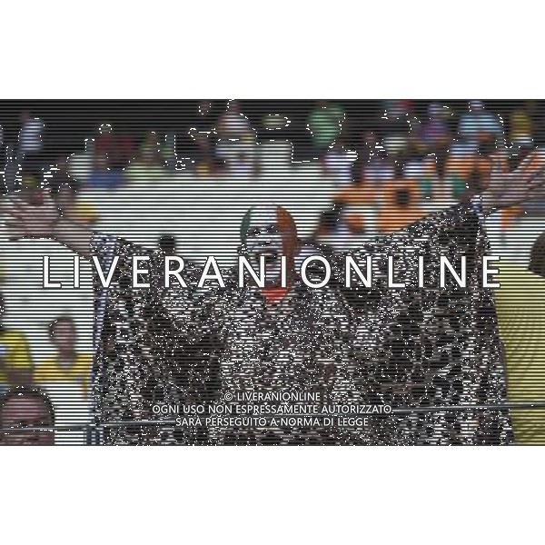 (140624) -- FORTALEZA, June 24, 2014 () -- Cote d\'Ivoire\'s fan cheers prior to a Group C match between Greece and Cote d\'Ivoire of 2014 FIFA World Cup at the Estadio Castelao Stadium in Fortaleza, Brazil, June 24, 2014. (/Yang Lei)(xzj) AG ALDO LIVERANI SAS ONLY ITALY