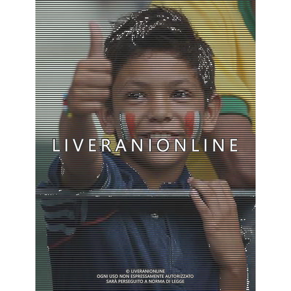 (140624) -- FORTALEZA, June 24, 2014 () -- Cote d\'Ivoire\'s fan cheers prior to a Group C match between Greece and Cote d\'Ivoire of 2014 FIFA World Cup at the Estadio Castelao Stadium in Fortaleza, Brazil, June 24, 2014. (/Cao Can)(xzj) AG ALDO LIVERANI SAS ONLY ITALY