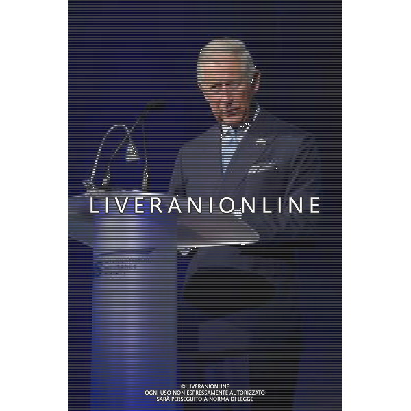  Prince Charles Prince Charles Addresses Theun Hyogo Framework: Private and Financial Sector Global Summit. London. Britain - 25 Jun 2014 AG ALDO LIVERANI SAS ONLY ITALY