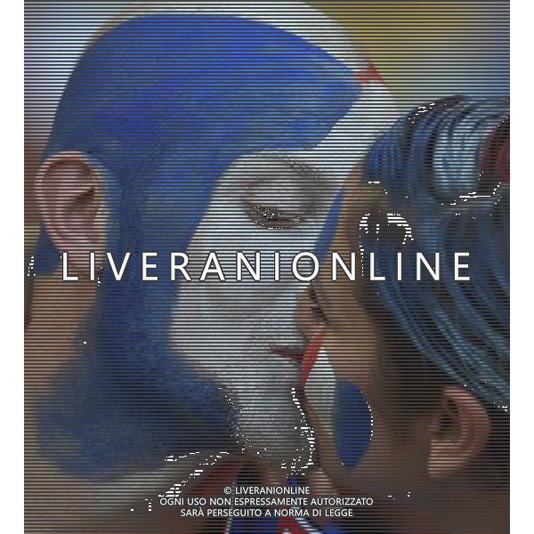 FIFA World Cup Brasile 2014 Gruppo E Rio de Janeiro - 25.06.2014 Ecuador-Francia Nella Foto:TIFOSI FRANCIA /Ph.Vitez-Ag. Aldo Liverani