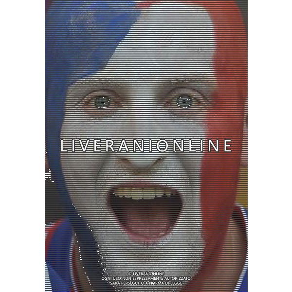 FIFA World Cup Brasile 2014 Gruppo E Rio de Janeiro - 25.06.2014 Ecuador-Francia Nella Foto:TIFOSI FRANCIA /Ph.Vitez-Ag. Aldo Liverani