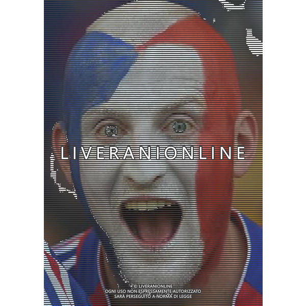 FIFA World Cup Brasile 2014 Gruppo E Rio de Janeiro - 25.06.2014 Ecuador-Francia Nella Foto:TIFOSI FRANCIA /Ph.Vitez-Ag. Aldo Liverani