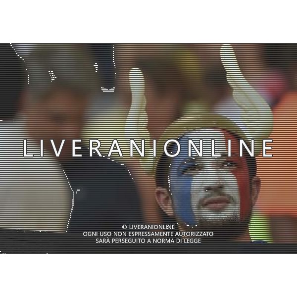 FIFA World Cup Brasile 2014 Gruppo E Rio de Janeiro - 25.06.2014 Ecuador-Francia Nella Foto:TIFOSI FRANCIA /Ph.Vitez-Ag. Aldo Liverani