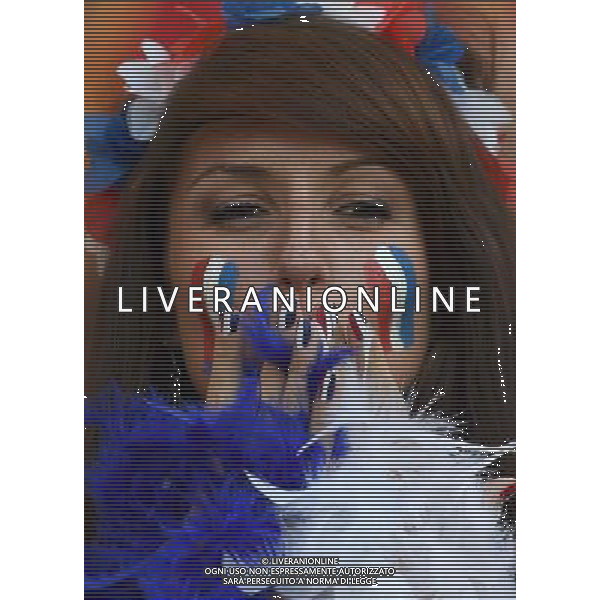 FIFA World Cup Brasile 2014 Gruppo E Rio de Janeiro - 25.06.2014 Ecuador-Francia Nella Foto:TIFOSI FRANCIA /Ph.Vitez-Ag. Aldo Liverani