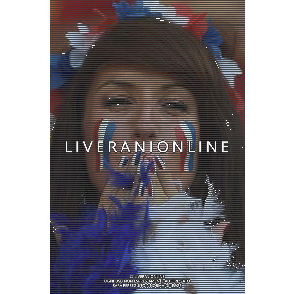 FIFA World Cup Brasile 2014 Gruppo E Rio de Janeiro - 25.06.2014 Ecuador-Francia Nella Foto:TIFOSI FRANCIA /Ph.Vitez-Ag. Aldo Liverani