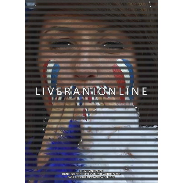 FIFA World Cup Brasile 2014 Gruppo E Rio de Janeiro - 25.06.2014 Ecuador-Francia Nella Foto:TIFOSI FRANCIA /Ph.Vitez-Ag. Aldo Liverani