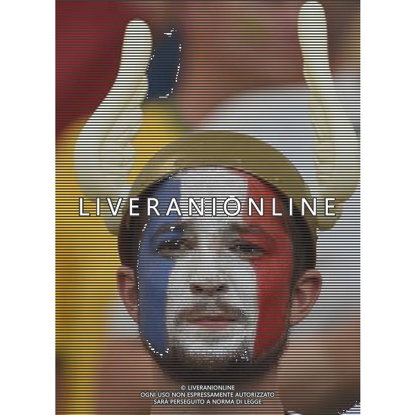 FIFA World Cup Brasile 2014 Gruppo E Rio de Janeiro - 25.06.2014 Ecuador-Francia Nella Foto:TIFOSI FRANCIA /Ph.Vitez-Ag. Aldo Liverani