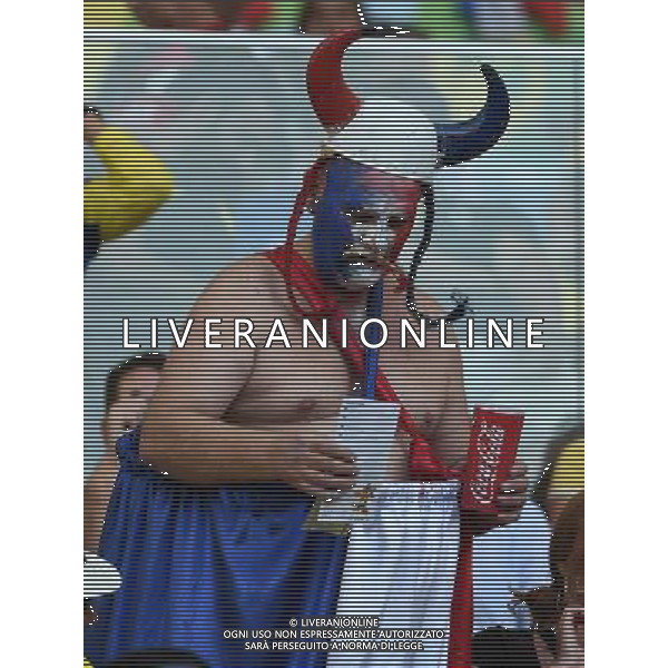 FIFA World Cup Brasile 2014 Gruppo E Rio de Janeiro - 25.06.2014 Ecuador-Francia Nella Foto:TIFOSI FRANCIA /Ph.Vitez-Ag. Aldo Liverani