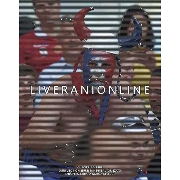 FIFA World Cup Brasile 2014 Gruppo E Rio de Janeiro - 25.06.2014 Ecuador-Francia Nella Foto:TIFOSI FRANCIA /Ph.Vitez-Ag. Aldo Liverani