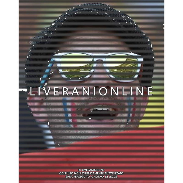 FIFA World Cup Brasile 2014 Gruppo E Rio de Janeiro - 25.06.2014 Ecuador-Francia Nella Foto:TIFOSI FRANCIA /Ph.Vitez-Ag. Aldo Liverani