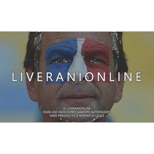 FIFA World Cup Brasile 2014 Gruppo E Rio de Janeiro - 25.06.2014 Ecuador-Francia Nella Foto:TIFOSI FRANCIA /Ph.Vitez-Ag. Aldo Liverani