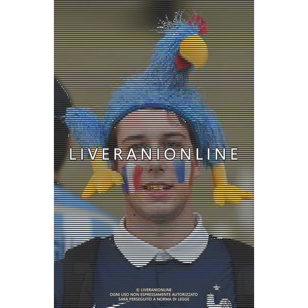 FIFA World Cup Brasile 2014 Gruppo E Rio de Janeiro - 25.06.2014 Ecuador-Francia Nella Foto:TIFOSI FRANCIA /Ph.Vitez-Ag. Aldo Liverani