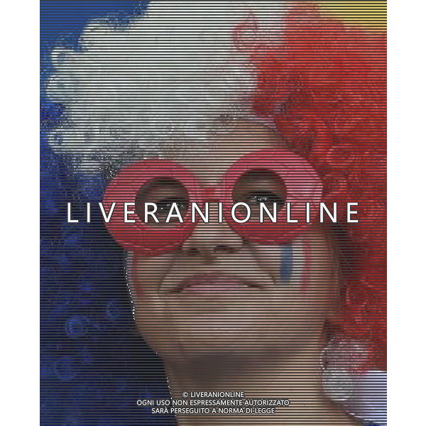 FIFA World Cup Brasile 2014 Gruppo E Rio de Janeiro - 25.06.2014 Ecuador-Francia Nella Foto:TIFOSI FRANCIA /Ph.Vitez-Ag. Aldo Liverani