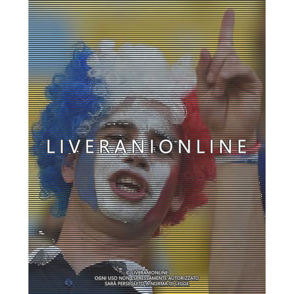 FIFA World Cup Brasile 2014 Gruppo E Rio de Janeiro - 25.06.2014 Ecuador-Francia Nella Foto:TIFOSI FRANCIA /Ph.Vitez-Ag. Aldo Liverani