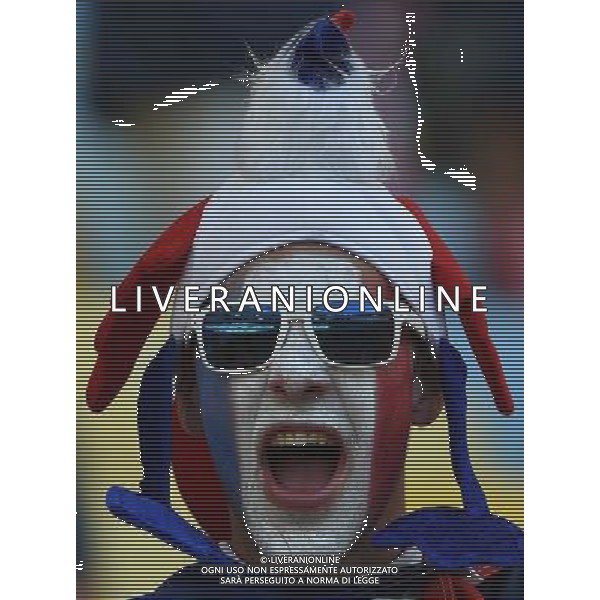 FIFA World Cup Brasile 2014 Gruppo E Rio de Janeiro - 25.06.2014 Ecuador-Francia Nella Foto:TIFOSI FRANCIA /Ph.Vitez-Ag. Aldo Liverani