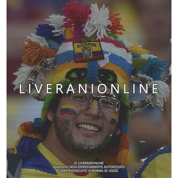 FIFA World Cup Brasile 2014 Gruppo E Rio de Janeiro - 25.06.2014 Ecuador-Francia Nella Foto:TIFOSI ECUADOR /Ph.Vitez-Ag. Aldo Liverani