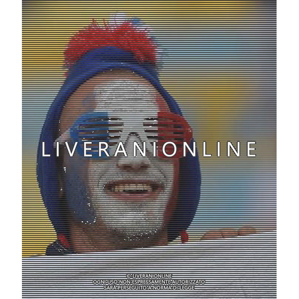 FIFA World Cup Brasile 2014 Gruppo E Rio de Janeiro - 25.06.2014 Ecuador-Francia Nella Foto:TIFOSI FRANCIA /Ph.Vitez-Ag. Aldo Liverani