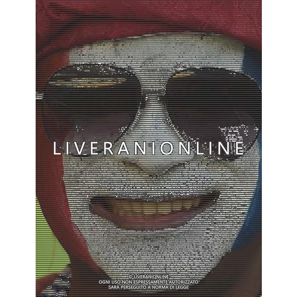 FIFA World Cup Brasile 2014 Gruppo E Rio de Janeiro - 25.06.2014 Ecuador-Francia Nella Foto:TIFOSI ECUADOR /Ph.Vitez-Ag. Aldo Liverani