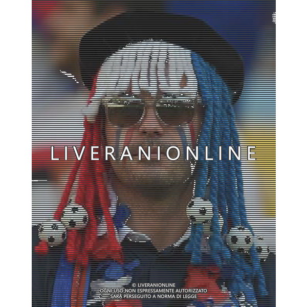 FIFA World Cup Brasile 2014 Gruppo E Rio de Janeiro - 25.06.2014 Ecuador-Francia Nella Foto:TIFOSI FRANCIA /Ph.Vitez-Ag. Aldo Liverani