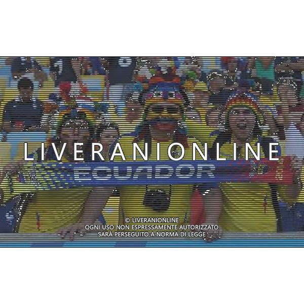 FIFA World Cup Brasile 2014 Gruppo E Rio de Janeiro - 25.06.2014 Ecuador-Francia Nella Foto:TIFOSI ECUADOR /Ph.Vitez-Ag. Aldo Liverani