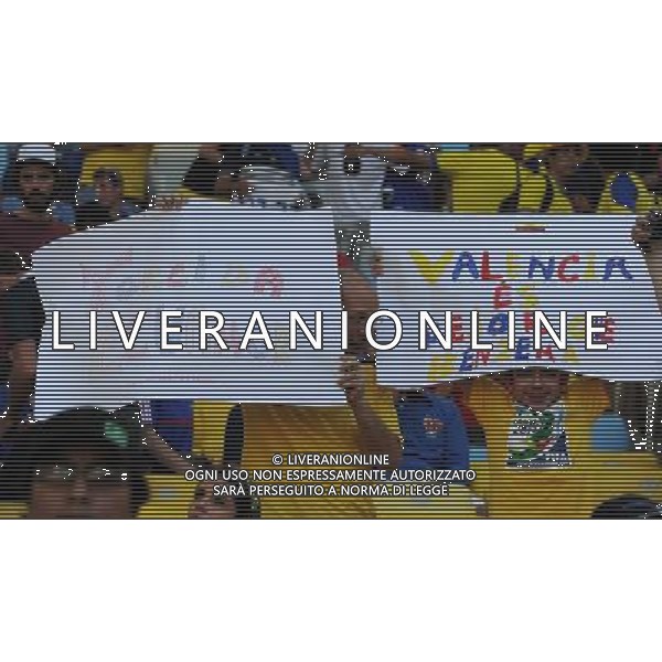 FIFA World Cup Brasile 2014 Gruppo E Rio de Janeiro - 25.06.2014 Ecuador-Francia Nella Foto:TIFOSI ECUADOR /Ph.Vitez-Ag. Aldo Liverani