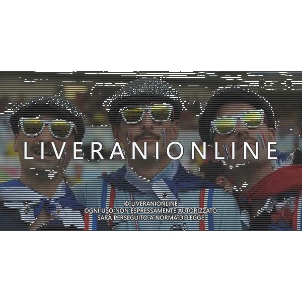 FIFA World Cup Brasile 2014 Gruppo E Rio de Janeiro - 25.06.2014 Ecuador-Francia Nella Foto:TIFOSI FRANCIA /Ph.Vitez-Ag. Aldo Liverani