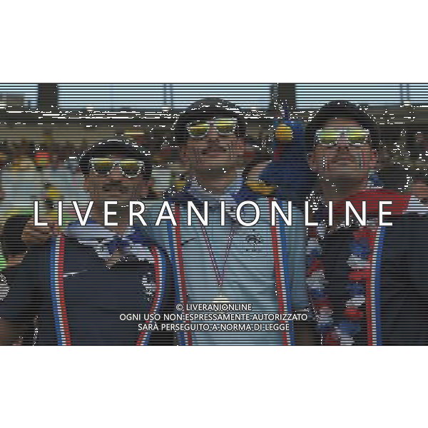 FIFA World Cup Brasile 2014 Gruppo E Rio de Janeiro - 25.06.2014 Ecuador-Francia Nella Foto:TIFOSI FRANCIA /Ph.Vitez-Ag. Aldo Liverani